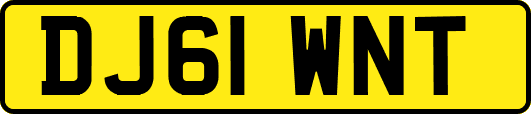 DJ61WNT