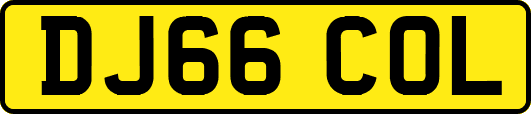 DJ66COL