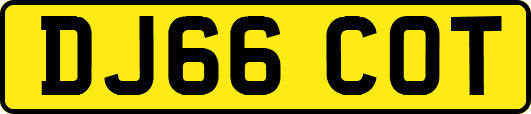 DJ66COT