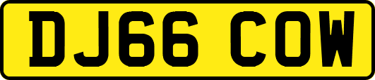 DJ66COW