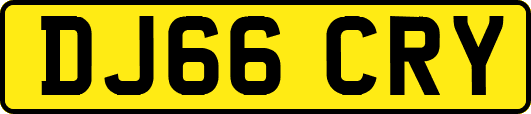 DJ66CRY
