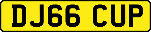 DJ66CUP