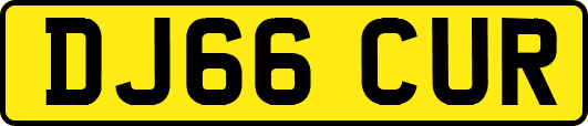 DJ66CUR