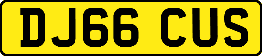 DJ66CUS