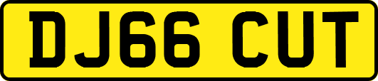 DJ66CUT