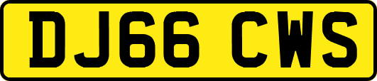 DJ66CWS