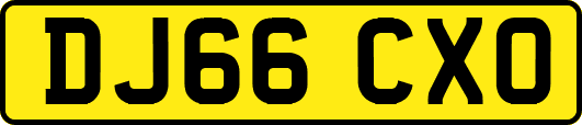 DJ66CXO
