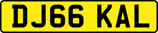 DJ66KAL