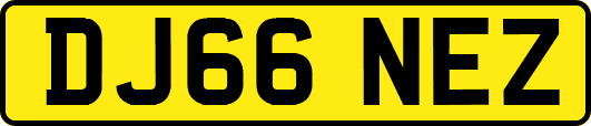 DJ66NEZ