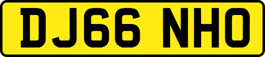 DJ66NHO