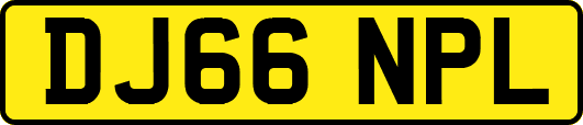 DJ66NPL