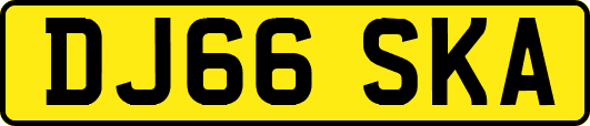 DJ66SKA