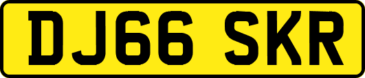 DJ66SKR