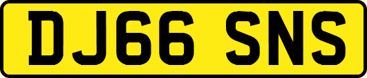 DJ66SNS