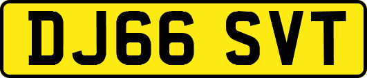 DJ66SVT
