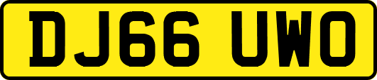 DJ66UWO