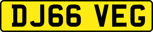 DJ66VEG