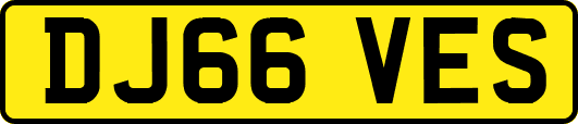 DJ66VES