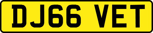 DJ66VET