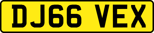 DJ66VEX