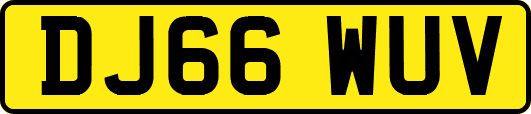 DJ66WUV