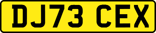 DJ73CEX