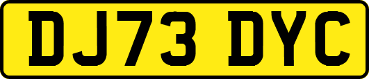 DJ73DYC