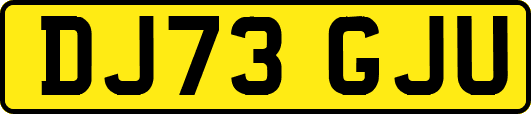 DJ73GJU