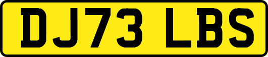 DJ73LBS