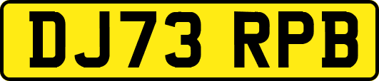 DJ73RPB