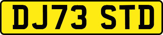 DJ73STD