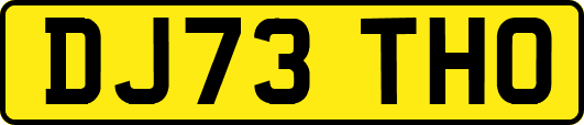 DJ73THO