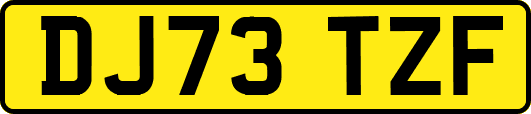 DJ73TZF