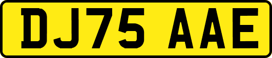 DJ75AAE