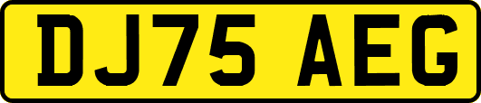 DJ75AEG