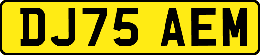 DJ75AEM