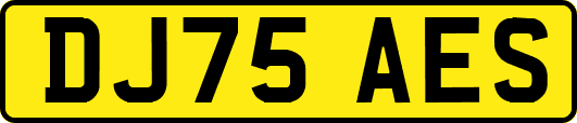 DJ75AES