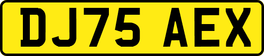 DJ75AEX