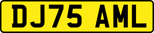 DJ75AML