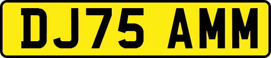 DJ75AMM