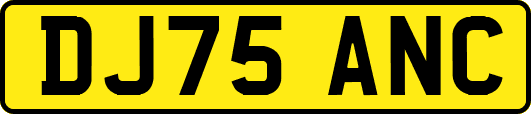 DJ75ANC