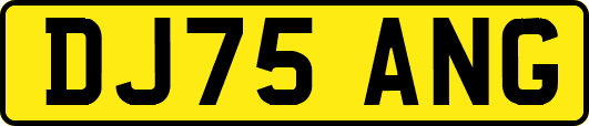 DJ75ANG