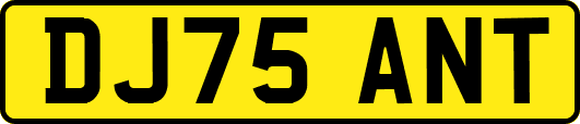 DJ75ANT