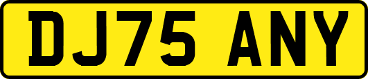 DJ75ANY