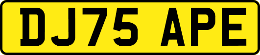 DJ75APE