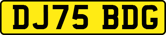 DJ75BDG