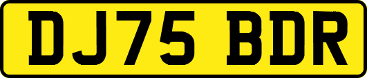 DJ75BDR