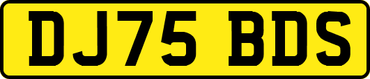 DJ75BDS