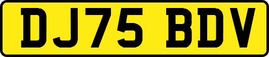 DJ75BDV