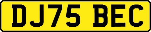 DJ75BEC